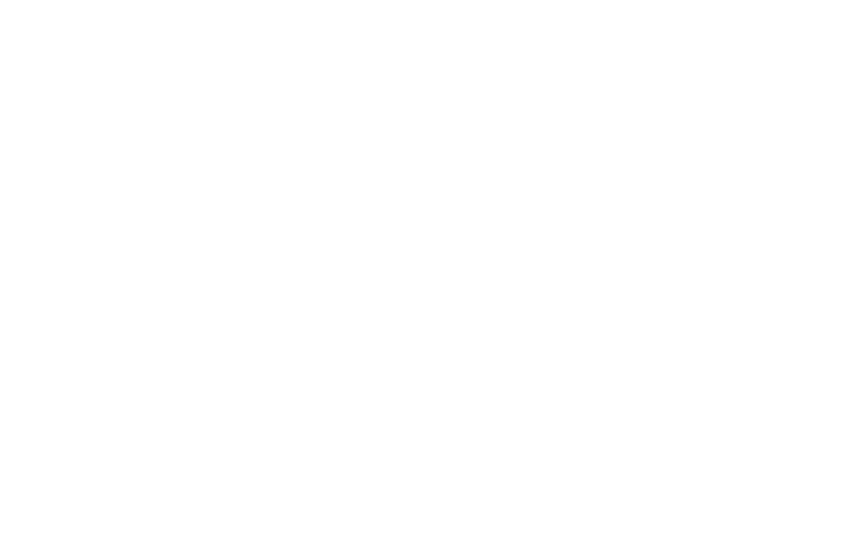 FL Grit White Logo